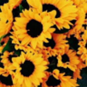 Meet your Posher, Isabelle